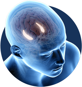 billionaire-brain-wave