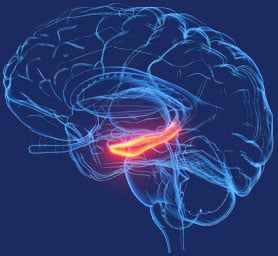 billionaire-brain-wave-brain